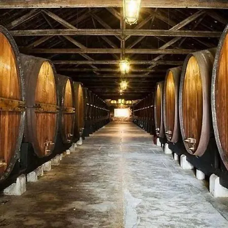 Roteiro Dos Moinhos